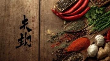 印度美食適應(yīng)力揭秘:同食異物,中外反應(yīng)大不同!