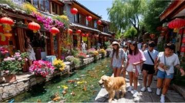 佛山老城區(qū)金牌馬仔與腸粉:早茶點心探秘之旅