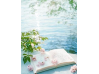 一本書帶領我走進了一個四季分明的世界