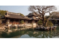 周日繼續探索江門