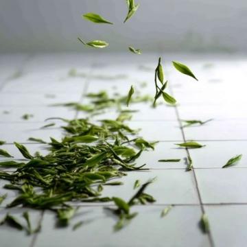 每天一杯普洱茶,身體會收獲哪些驚喜?