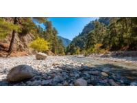 西北大環線旅游攻略：美景與美食之旅
