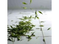 每天一杯普洱茶，身體會收獲哪些驚喜？
