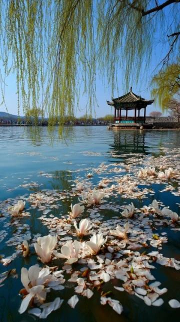 揚州旅游攻略:穿越千年,體驗詩意慢生活