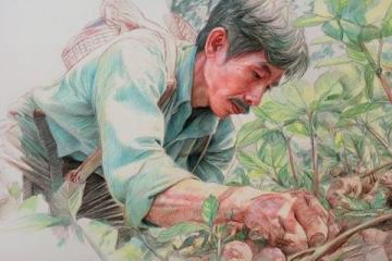 挑選茵陳、摘柳芽、挖薤白的溫馨日常體驗最純粹的鄉村生活