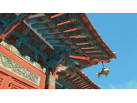 你可能沒(méi)注意到，但故宮的屋頂上為什么幾乎沒(méi)有鳥屎?