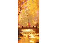 清水塘：回憶中的樂園，四季流轉的童真記憶