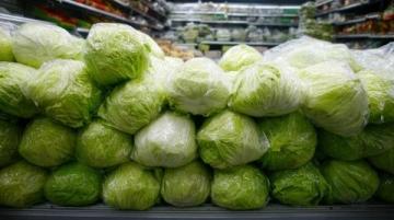 神秘鹵菜店的背后真相:方師傅的驚人秘密曝光了!