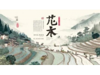 漫步廣西，品味壯鄉米粉盛宴