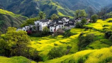 云南春天尋味指南：美景與美食共賞之旅