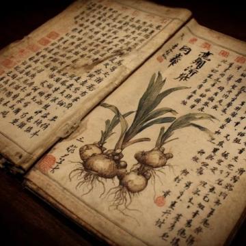 中醫(yī)養(yǎng)生知識(shí)科普講座(中醫(yī)養(yǎng)生知識(shí)科普)