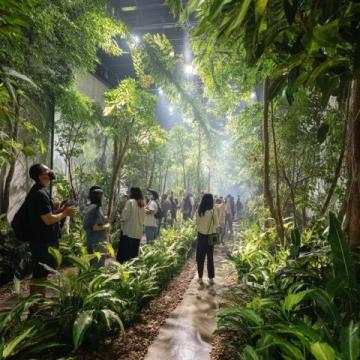 廣州增城驚現現實版「莫奈花園」!春日浪漫打卡地被我找到了
