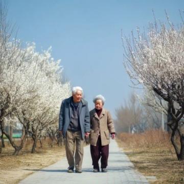 深圳定居適宜老年人嗎?宜居分析及優待政策解讀