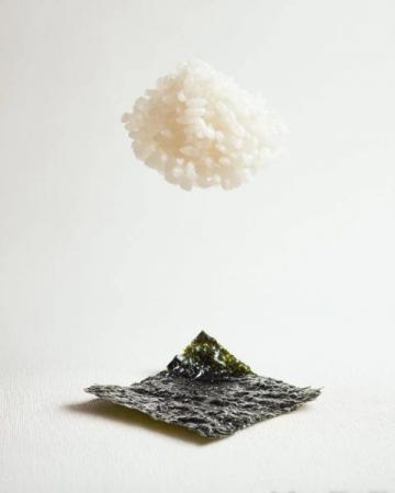 冬季推薦食材之九:海參
