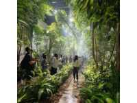 廣州增城驚現現實版「莫奈花園」！春日浪漫打卡地被我找到了