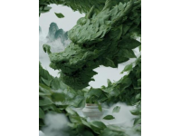 揭秘鐵觀音：中國茶王傳奇與養生秘籍