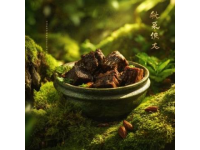 跨越山海的家鄉味：潮汕美食俘獲全球華人心