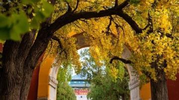 昌吉市最好玩的地方有哪些？不容錯(cuò)過(guò)的旅游景點(diǎn)推薦！