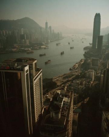 香港鼠患嚴峻：每捉一只老鼠成本約10880元，引發(fā)熱議