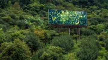浙西南山區(qū)的詩意棲居地——松陽