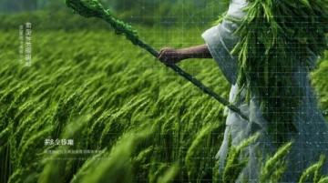 清明節龍巖三日游攻略及避雷指南