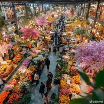 亞明農(nóng)貿(mào)市場：沈陽皇姑區(qū)的繁華記憶與市井生活風(fēng)情