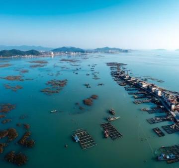 輕松暢游三亞:一日一景,不費(fèi)腦的旅游攻略!