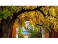 昌吉市最好玩的地方有哪些？不容錯(cuò)過(guò)的旅游景點(diǎn)推薦！