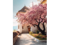 五一旅游攻略：避開人流探索隱秘美景