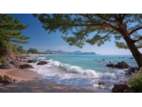 榮成海邊拍照爭議：禁令引發熱議，平衡旅游管理與公眾權利成焦點