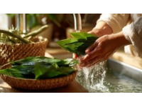 日常五防?。菏植壳鍧?、食品安全、室內(nèi)通風(fēng)、口罩使用與個人用品衛(wèi)生