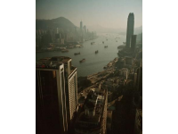香港鼠患嚴峻：每捉一只老鼠成本約10880元，引發(fā)熱議