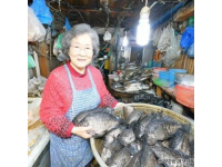 30元一條的無刺全肉魚，營養豐富補腦佳品最適合孩子吃