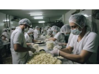 彬州御面：探尋傳統手工技藝的魅力與美味