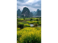 陽(yáng)朔：山水間的詩(shī)意畫(huà)卷