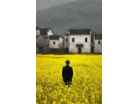 河北廊坊，男子獻(xiàn)血8次，卻在急用血時(shí)被告知獻(xiàn)血證過期，不能優(yōu)先用血！男子不能