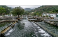 柳州周邊游推薦：螺螄粉、水油堆與古跡探秘之旅