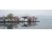 兩日游路線：武大櫻花+東湖綠道，這樣玩不繞路！