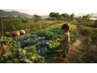 巴州區(qū)興文小學校園農場種蔬菜，校門口擺攤搞義賣