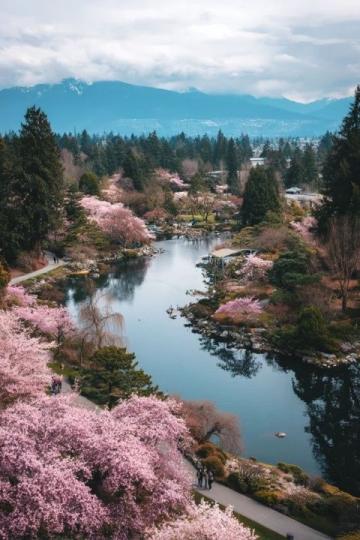 2025年必去的五大春季旅行勝地，跟隨榜單開(kāi)啟新體驗(yàn)