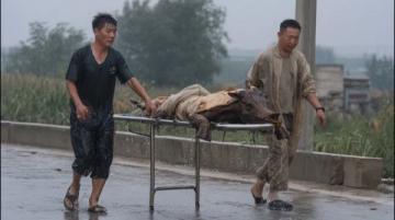 當年民國鎮上死了七個百姓，死者面青指蜷，繡花鞋旁遺著半只鞋子，縣里派來的巡警被逼退，局長一刀刺穿了案子。