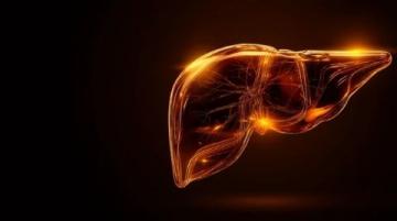 科學(xué)應(yīng)對脂肪肝：揭秘極端素食背后的健康誤區(qū)與合理膳食策略