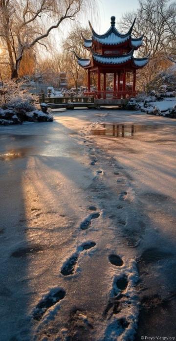 揭秘東北的趣味冷知識(shí)：冰雪藝術(shù)、方言魅力與美食風(fēng)情