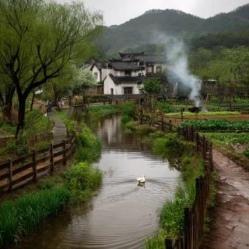 成都近郊露營好去處：金馬河邊的溫江魯家灘濕地公園