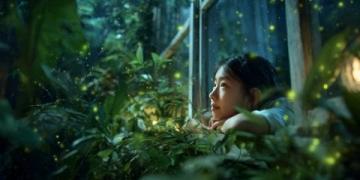 深圳西涌螢火蟲觀賞季:最佳觀景指南及出行攻略