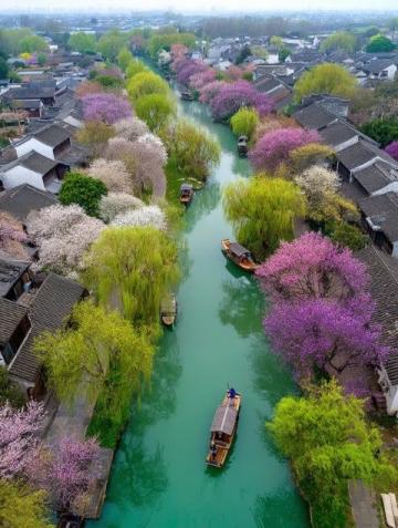 心馳神往！廣西橫州茉莉花之旅不容錯過