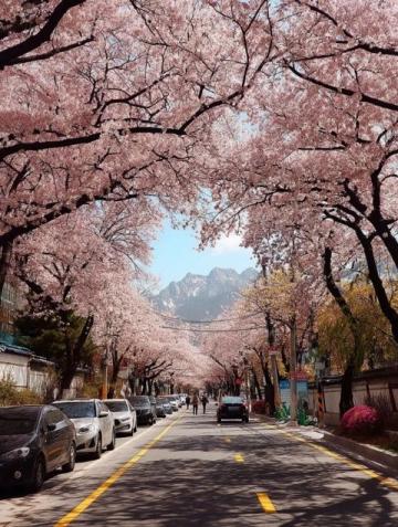 2025年必去的五大春季旅行勝地，跟隨榜單開(kāi)啟新體驗(yàn)