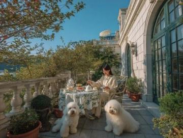 香格里拉啟動新春推廣計劃:團圓宴席與特色禮品齊備迎新年