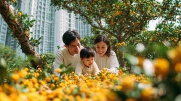 實況記錄云端花園的春日盛景:杜鵑花海、親子活動與自然之美