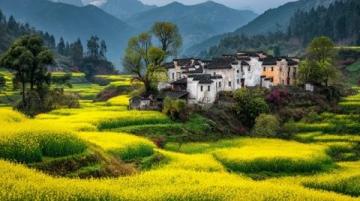 皖南春節之旅，體驗非凡韻味年節